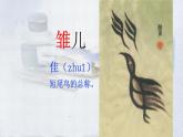 【核心素养】部编版语文五上 4《珍珠鸟》课件+教案+课文朗读