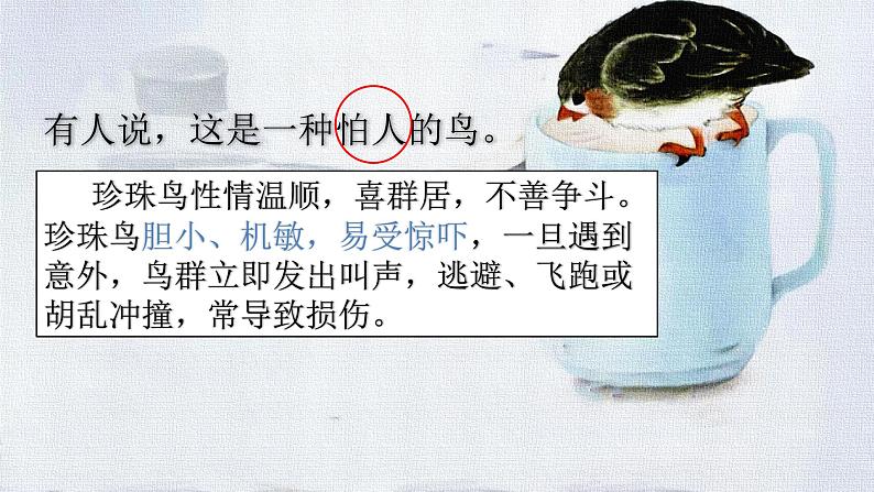 【核心素养】部编版语文五上 4《珍珠鸟》课件+教案+课文朗读06