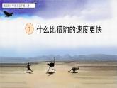 【核心素养】部编版语文五上 7《什么比猎豹的速度更快》课件+教案+课文朗读