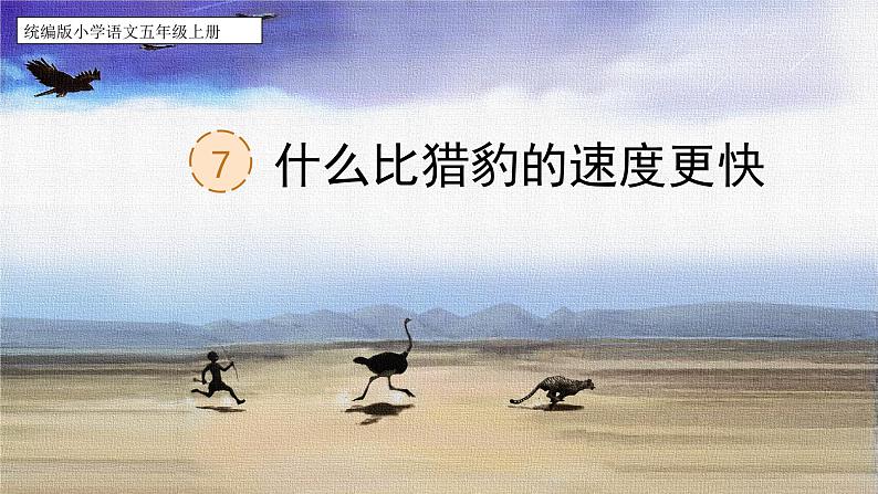 【核心素养】部编版语文五上 7《什么比猎豹的速度更快》课件+教案+课文朗读01