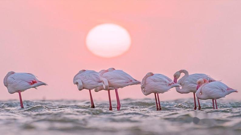 部编版语文三上 第五单元《习作例文+习作》课件PPT+练习（含答案）02