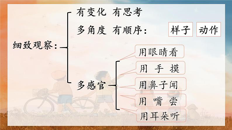 部编版语文三上 第五单元《习作例文+习作》课件PPT+练习（含答案）05