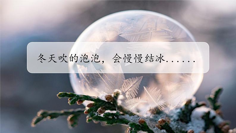 部编版语文三上 第五单元《习作例文+习作》课件PPT+练习（含答案）03