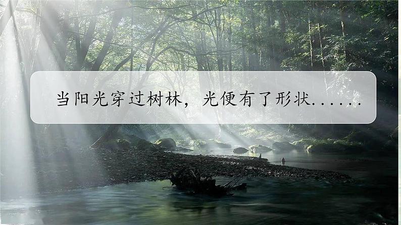 部编版语文三上 第五单元《习作例文+习作》课件PPT+练习（含答案）04