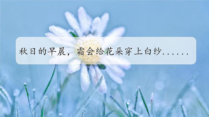 部编版语文三上 第五单元《习作例文+习作》课件PPT+练习（含答案）05