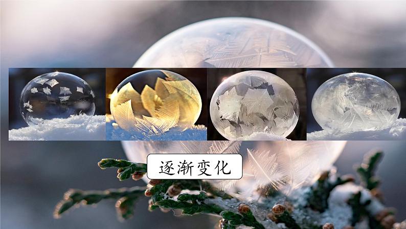 部编版语文三上 第五单元《习作例文+习作》课件PPT+练习（含答案）07