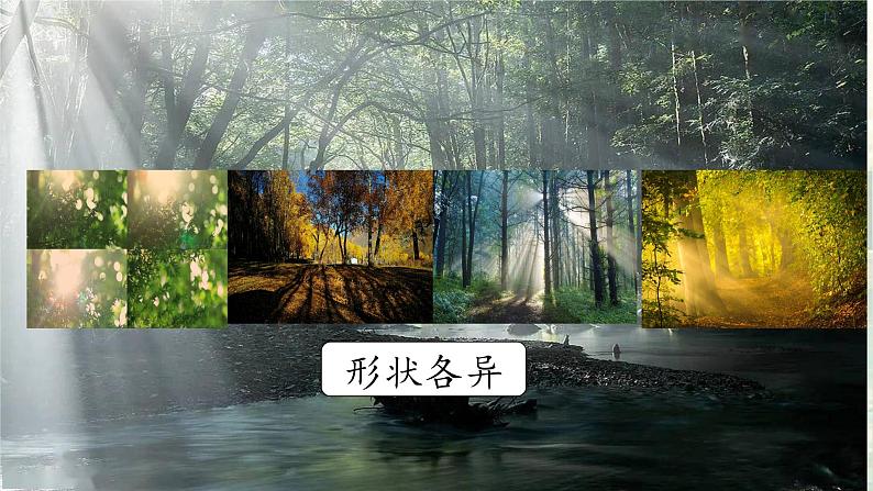 部编版语文三上 第五单元《习作例文+习作》课件PPT+练习（含答案）08