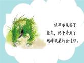 习作：写观察日记 -2024-2025学年四年级语文上册同步精品课件（统编版）
