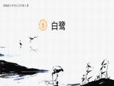 【核心素养】部编版语文五上 1《白鹭》课件+教案+课文朗读