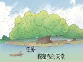 【核心素养】部编版小学语文五年级上册 22 鸟的天堂 课件+教案（含教学反思） +素材