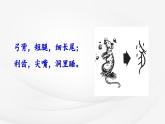 【核心素养】部编版语文五上 17《松鼠》课件+教案+课文朗读
