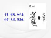 【核心素养】部编版语文五上 17《松鼠》课件+教案+课文朗读