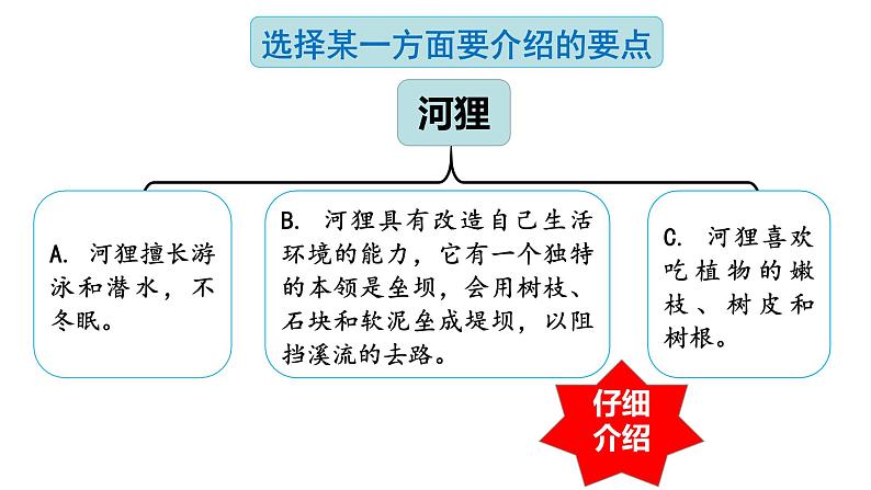 【核心素养】部编版语文五上 《习作五：介绍一种事物》课件+教案+课文朗读06