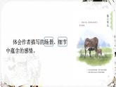 【核心素养】部编版语文五上 18《慈母情深》课件+教案+课文朗读