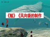 【核心素养】部编版语文五上 第五单元《习作例文》课件+教案+课文朗读