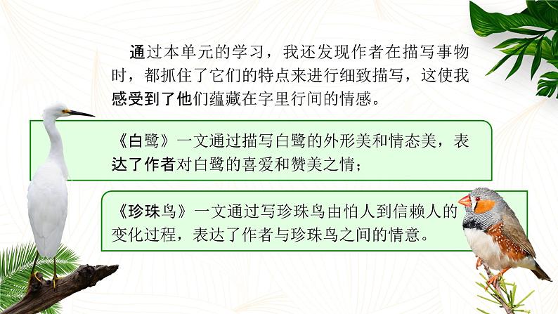 【新课标-核心素养】部编版语文五上 《语文园地一》课件+教案+音视频素材07