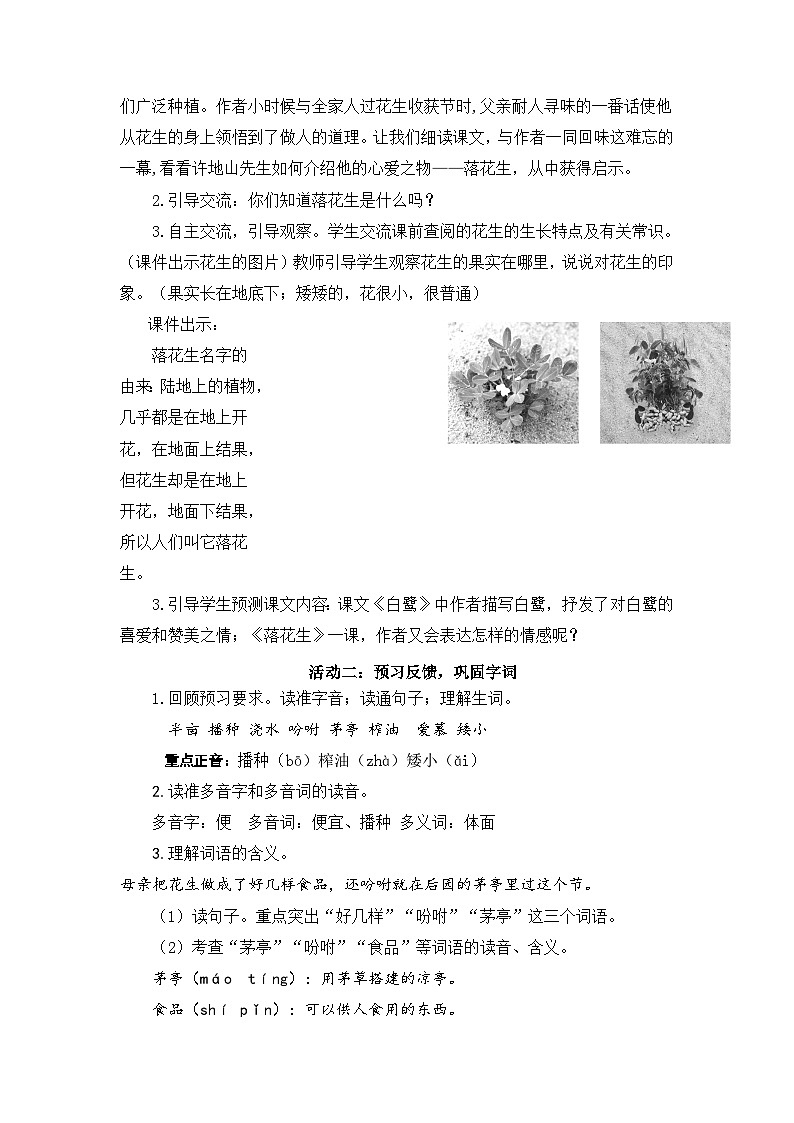【新课标-核心素养】部编版语文五上 2《落花生》课件+教案+音视频素材02