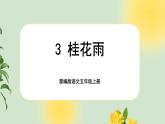 【新课标-核心素养】部编版语文五上 3《桂花雨》课件+教案+音视频素材