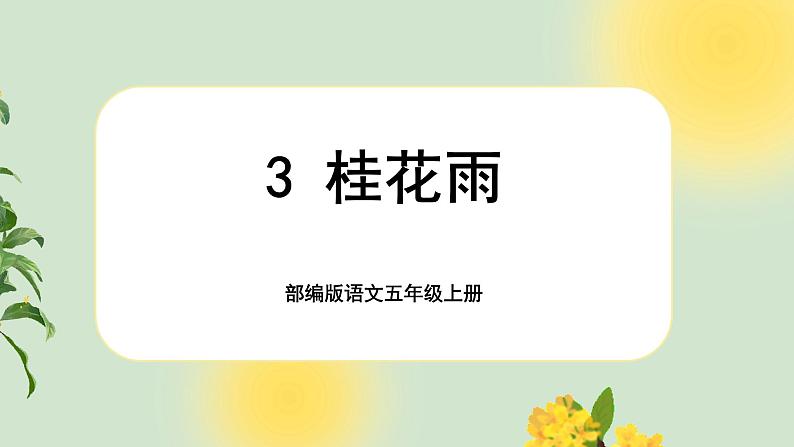 【新课标-核心素养】部编版语文五上 3《桂花雨》课件+教案+音视频素材01