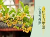 【新课标-核心素养】部编版语文五上 3《桂花雨》课件+教案+音视频素材