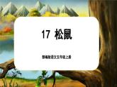 【新课标-核心素养】部编版语文五上 17《松鼠》课件+教案+音视频素材