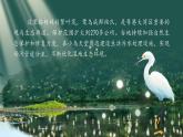 【新课标-核心素养】部编版语文五上 23《鸟的天堂》课件+教案+音视频素材