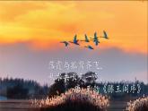 秋晚的江上 部编版2024四年级语文上册3古诗两首优质课件