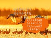 秋晚的江上 部编版2024四年级语文上册3古诗两首优质课件