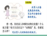 部编版小学语文四年级上册第二单元习作：小小“动物园”课件+教案