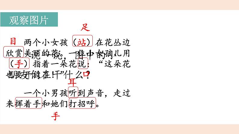 识字3.口耳目手足（课件+教案）-2024-2025学年统编版语文一年级上册04