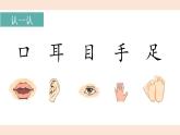 识字3.口耳目手足（课件+教案）-2024-2025学年统编版语文一年级上册