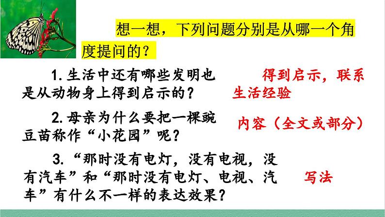 部编版小学语文四年级上册8 蝴蝶的家课件+教案08