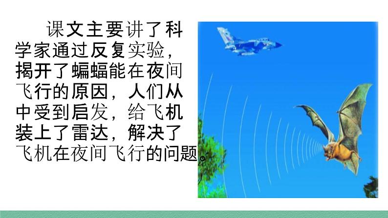 部编版小学语文四年级上册6 夜间飞行的秘密课件第8页