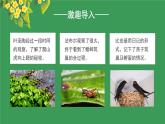 部编版四上语文课件第3单元 《习作：写观察日记》