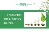 部编版四上语文课件第3单元 《习作：写观察日记》