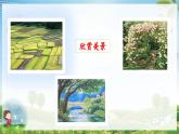 部编版二上语文第2单元识字1《场景歌》（教学课件）- 年级语文上册同步高效课堂系列