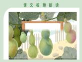部编版二上语文第5单元第14课《我要的是葫芦》（教学课件）