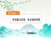 部编版三上语文第5单元第15课《搭船的鸟》（第2课时）（教学课件）