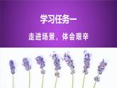部编版五上语文第六单元第18课《慈母情深》（第二课时）（教学课件）4
