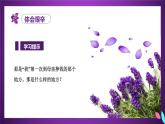 部编版五上语文第六单元第18课《慈母情深》（第二课时）（教学课件）4