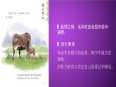 部编版五上语文第六单元第18课《慈母情深》（第一课时）（教学课件）6