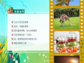 部编版五上语文第五单元习作：介绍一种事物（教学课件）3