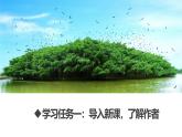 部编版五上语文第七单元第23课《鸟的天堂》（第一课时）（教学课件）16