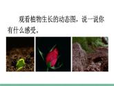 部编版小学语文四年级上册三单元习作：写观察日记课件+教案
