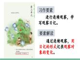 部编版小学语文四年级上册三单元习作：写观察日记课件+教案