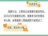 部编版小学语文四年级上册三单元习作：写观察日记课件+教案