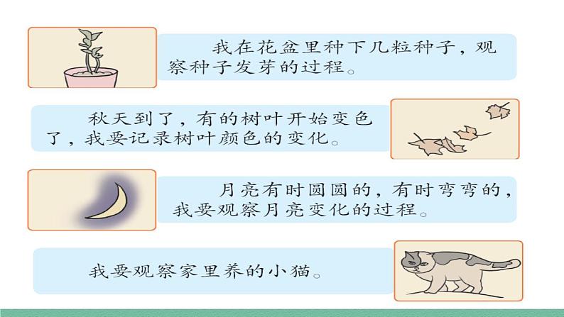 部编版小学语文四年级上册三单元习作：写观察日记课件+教案08