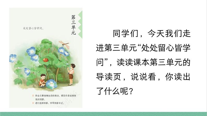 部编版小学语文四年级上册9 古诗三首课件第3页