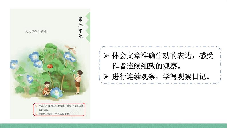 部编版小学语文四年级上册9 古诗三首课件第5页