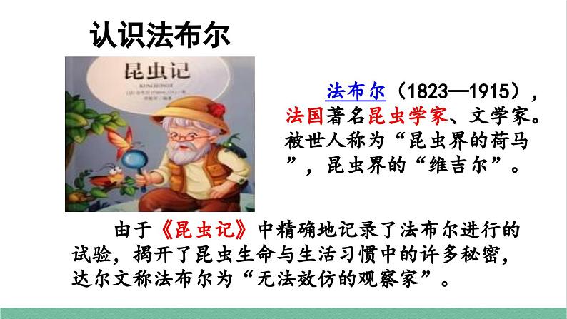 部编版小学语文四年级上册11 蟋蟀的住宅课件第6页